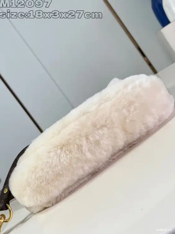 WIS Vuitton Ski Louis Sunset 0517